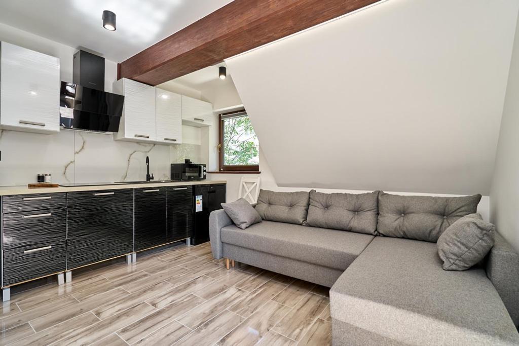 זקופאנה Apartamenty U Kamila מראה חיצוני תמונה